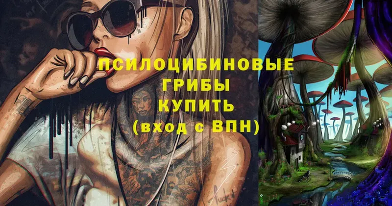 Псилоцибиновые грибы мухоморы  Кохма 